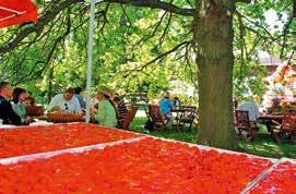Im Sommer überraschte die Landpartie auf dem Erdbeerhof Gleidingen, bei der nicht nur Erdbeer- und Spargelliebhaber auf ihre