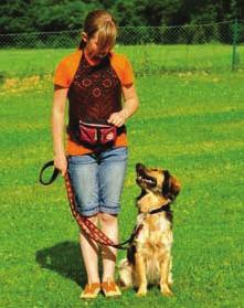 170 Erziehung und Umgang Ab einem Alter von ungefähr zwölf Jahren können Kinder durchaus Hunde führen und auch mit ihnen an Kursen auf dem Hundeplatz teilnehmen.