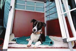 Erziehung und Umgang 187 Eine stabile Transportbox ist die sicherste Art, einen Hund im Auto zu transportieren. Auch wenn es wie ein Käfig aussieht der Hund fühlt sich darin wohl.