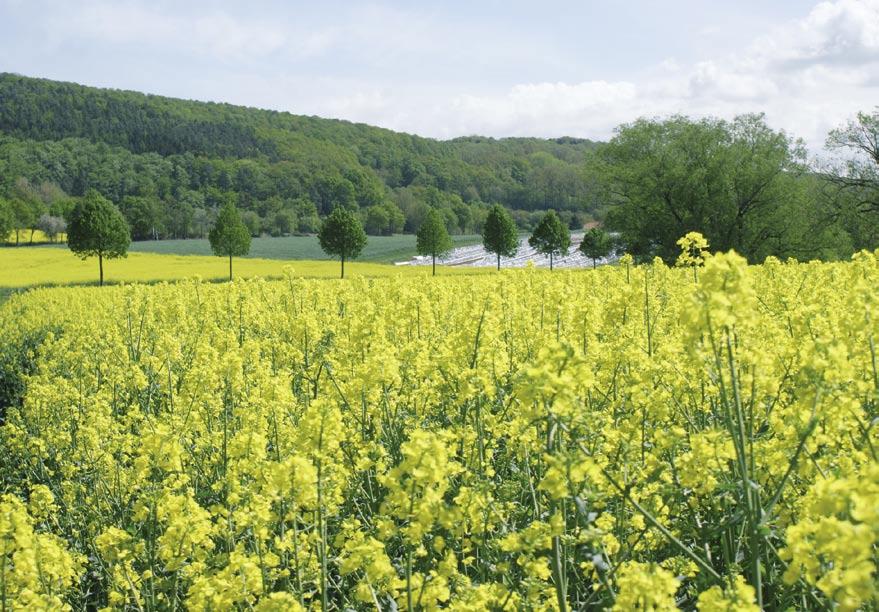 Veranstaltungen zum