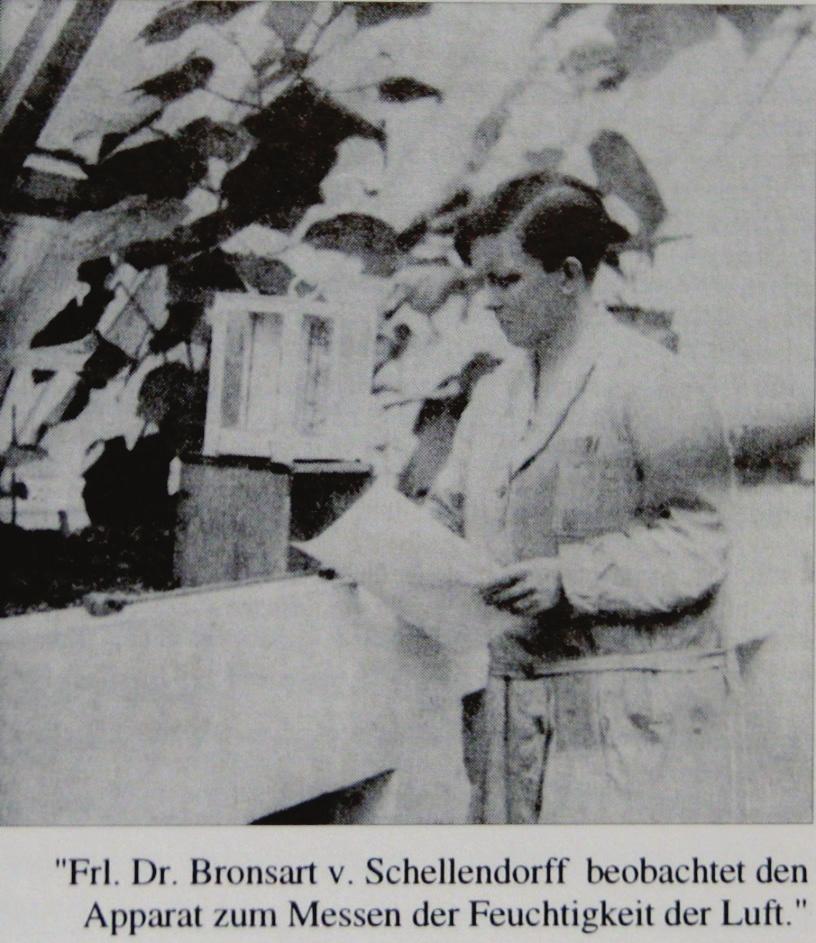 Biographisches (2) 1918-24/27-31 Landwirtschaftliche Hochschule Hohenheim, Lehrtätigkeit an der Gartenbauschule Buchhändlerin, gärtnerische Beraterin 1934
