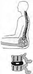 .. der Rücken bleibt trotz Beugung des Oberkörpers nach vorne oder beim Bücken nach unten gerade, eine Schrittstellung mit Verlagerung des Gewichts auf das vordere Bein wird