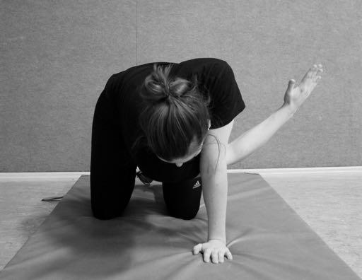 5. Rotationsbewegungen Hierbei wird im Vierfüßlerstand eine Rotationsbewegung im Oberkörper trainiert.