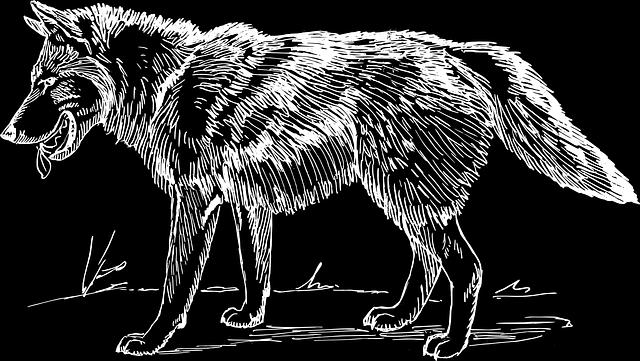 theoretisch synthetisch rein präskriptiv normativ Der Wolf ist ein Tier.