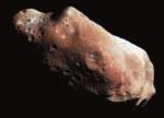 Figur 5a Der Asteroid Ida mit dem Mond Dactyl (NASA) Figur 5b Der Komet Hyakutake (R. Scott und J.