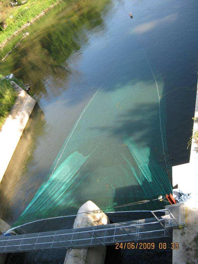 3.2.4 Francisturbinen der WKA Zur Erfassung der Abwanderung der Fische über die Francisturbinen wurde unterhalb der WKA ein Hamen eingesetzt, der beide Auslassöffnungen der Turbinen überspannte