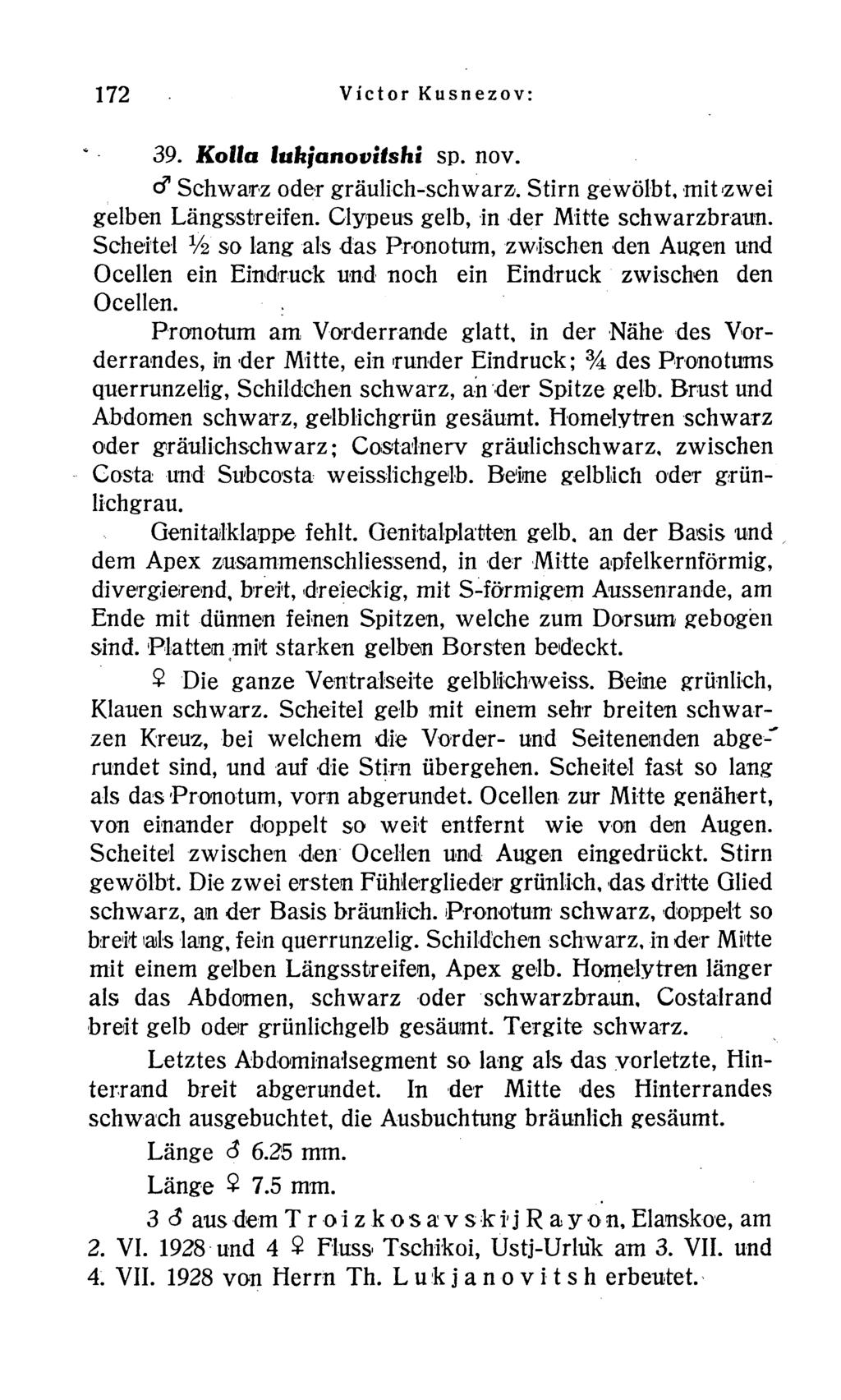 172 Victor Kusnezov: 39. Kolla lukjanoviishi sp. nov. c? Schwarz oder gräulich-schwarz. Stirn gewölbt, mit'zwei gelben Längsstreifen. Clypeus gelb, in der Mitte schwarzbraun.