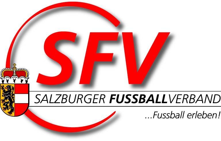 LANDESMEISTERSCHAFTEN FÜR BERUFSSCHULEN (Kleinfeld) 2012 SPIELBERICHT - ERGEBNISSE Red Bull Salzburg unterstützt die