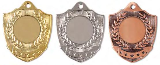 Eisen-Medaille 50 x 45 mm 27 Gramm