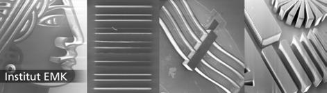 Abbildung 5.2: Tiefenlithographisch hergestellte Strukturen aus SU-8 (Schichtdicke 500 µm, minimale Strukturweite 10 µm) freitragender nachgiebiger Strukturen.
