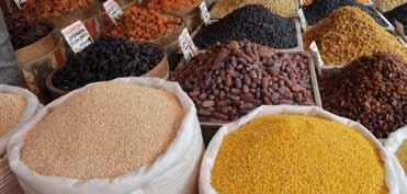 Ackerflächen für den Lebensmittelexport und unsere Ernährungsgewohnheiten belegt werden.