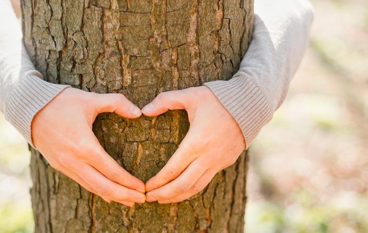 Die hochökologische Holzdämmplatte Das Herzstück von StoTherm Wood Sto setzt auf ökologische und nachhaltige Lösungen, die sich einfach und effizient umsetzen lassen.