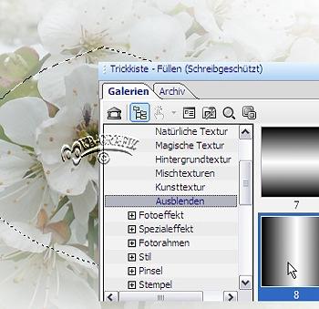 Öffnet eine weiße Leinwand - 640x480 Pixel Auswahl Alle Öffnet das Blütenbild - Rechts Klick - Kopieren / Leinwand aktivieren/