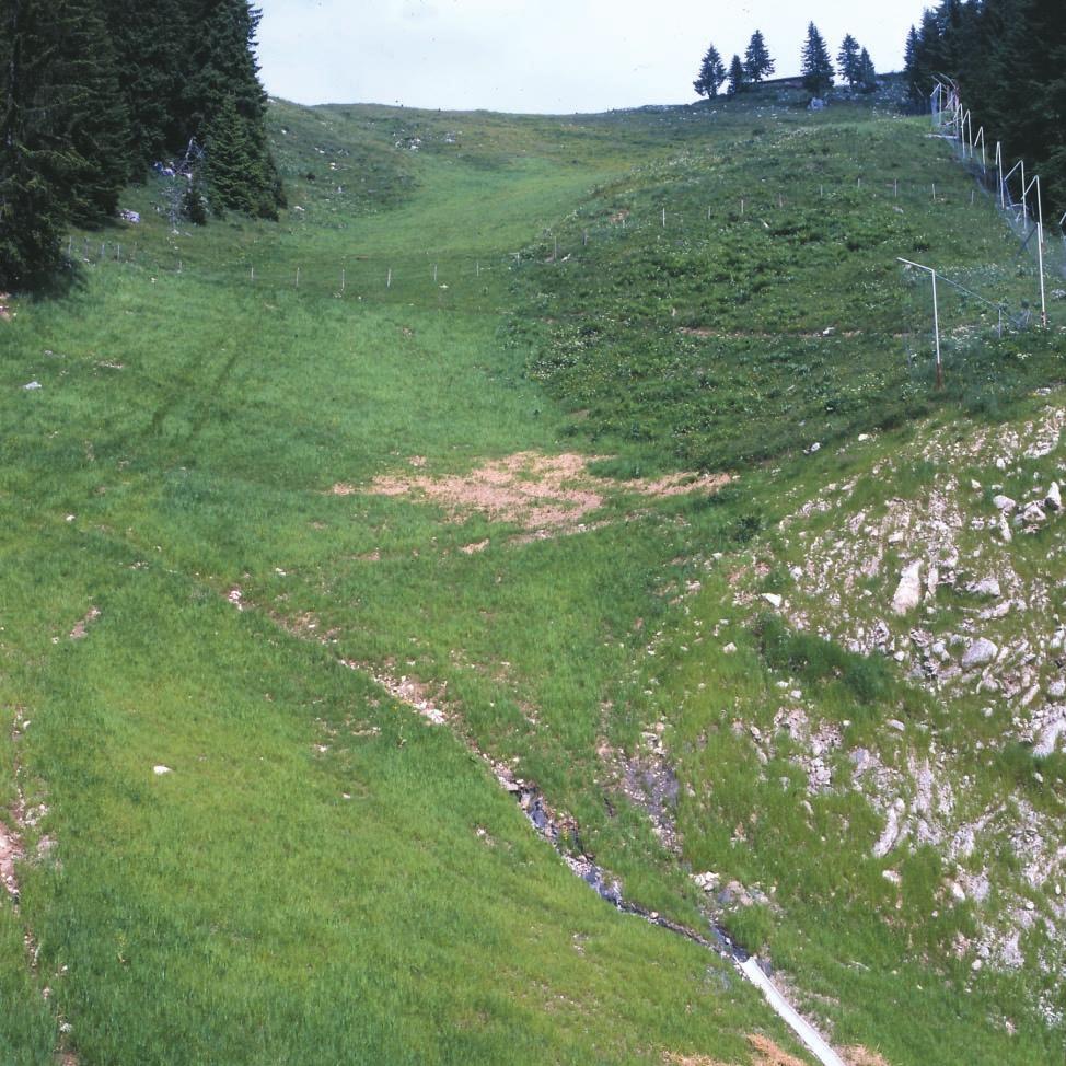 66 Provisorische Geländeanleitung zur Abschätzung des Oberflächenabflussbeiwertes... 1 Foto: T.