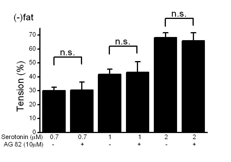 Ergebnisse 44 B Abb. 4.5 B: Serotonin-abhängige Kontraktionen von Gefäßringen (-)fat in Anwesenheit AG82 waren nicht unterschiedlich im Vergleich zu Kontraktionen in Abwesenheit von AG82 (n=5, p>0,05).
