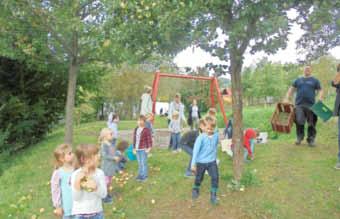 Zell (Mosel) - 28 - Ausgabe 39/2017 Kath. Kindertagesstätte St. Maria-Magdalena Bullay Apfelpflück-Aktion im Bullayer Kindergarten!