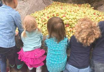 So zogen an einem Freitagnachmittag Kinder, Eltern und Erzieher mit Apfelpflücker, Körben und Eimern ausgerüstet los zur Ernte. Kita St.