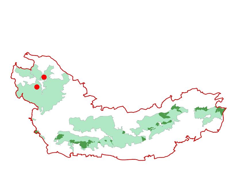 Kalkreiche Niedermoore a) Schutzstatus: Lebensraumtyp nach Anhang I der