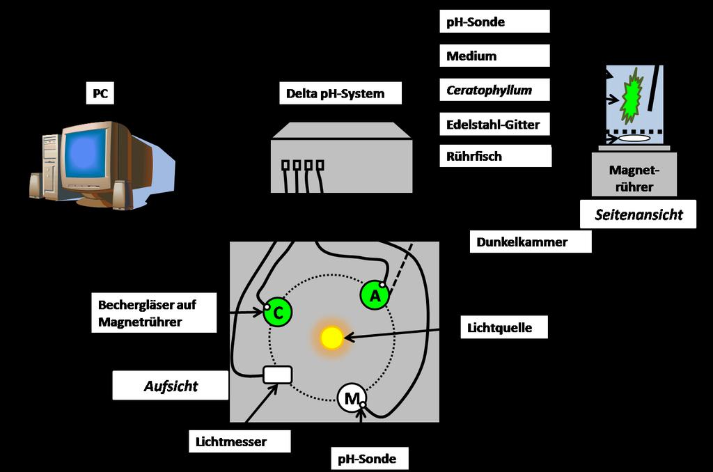 Biotestentwicklung V Abbildung 77: Schematischer Überblick des Versuchsaufbau mit dem Delta ph-mess-system.