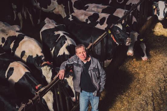 KWS-Feedbeet Für Milchkühe allererste Sahne! Erfahrungsbericht von Klaus Schröder, Landwirt und Milchviehhalter aus Niedersachsen.