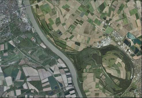 00 N Worms Versuchsstrecke Rhein-km 440,600 441,600 a) b) c) Bild 1: