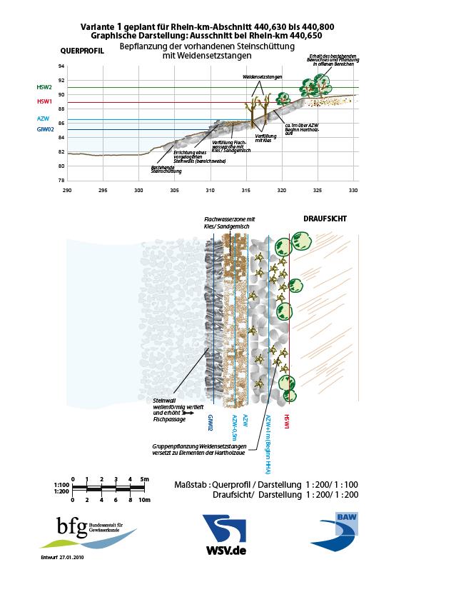 - Rhein km 440,6 bis km 441,6 - Empfehlungen für die Ausführung der