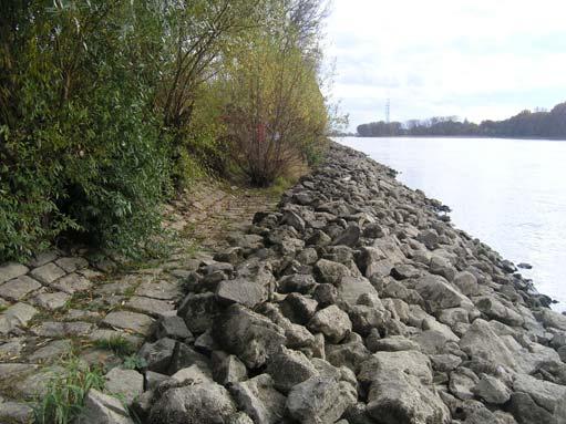 - Rhein km 440,6 bis km 441,6, rechtes Ufer - Empfehlungen für die Ausführung der Ufersicherungen - 14 - BfG-Nr.: 1677 BAW-Nr.: 2.04.10151.