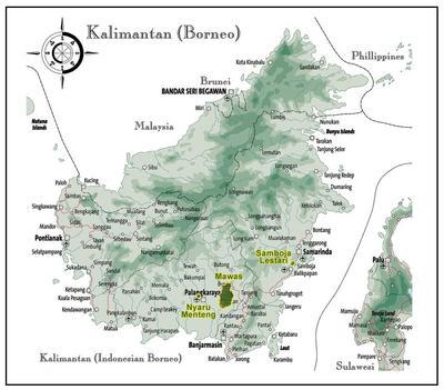 Die Lage der BOS-Auswilderungsstationen Samboja Lestari und