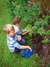 Kinder im Garten fleißig gesät und gepflanzt. So haben wir am Gartenzaun entlang Sonnenblumen gesät und konnten beobachten wie sie immer größer wurden.