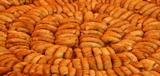 Brot Rog gen oder Weizenbrot werden in Würfel geschnitten, getrocknet.