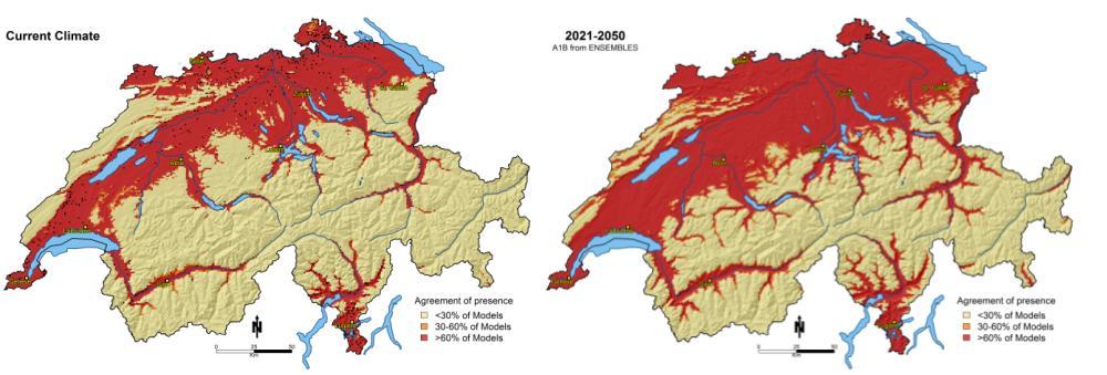 Veränderung der Habitateignung - Traubeneiche Klima 1950-2000