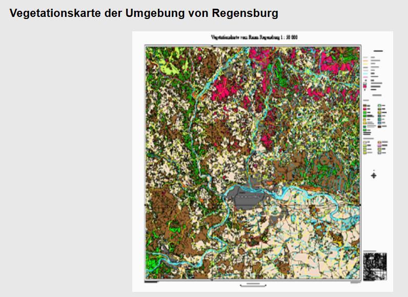 Gedanke, für den Raum Regensburg eine derartige Vegetationskarte im Maßstab 1.50.