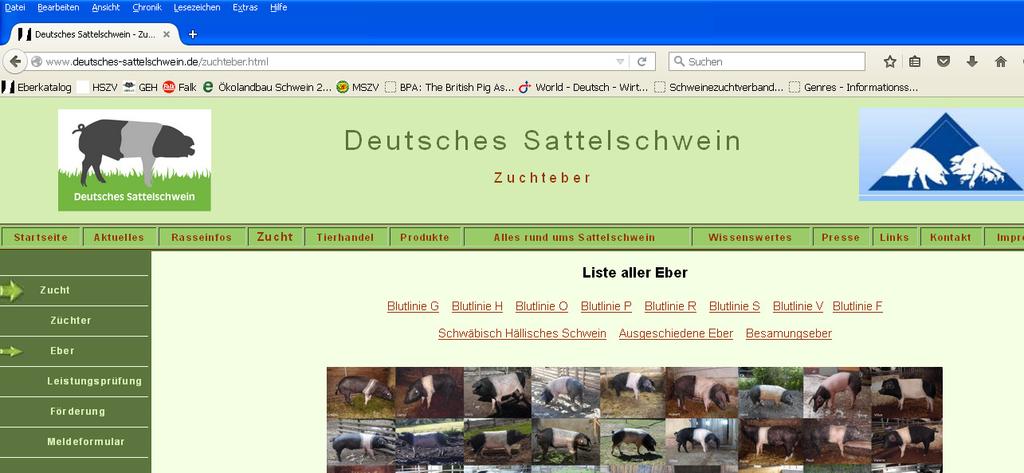 www.deutsches-sattelschwein.