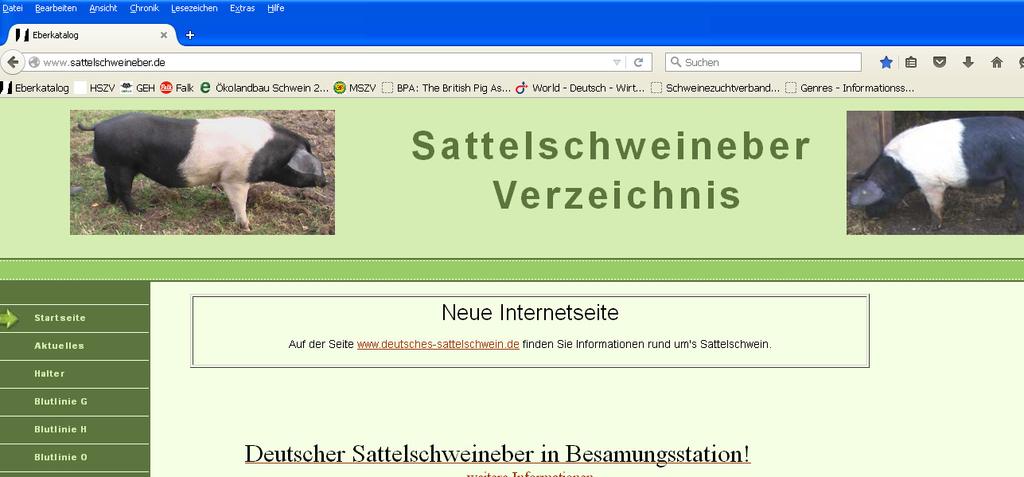 www.sattelschweineber.