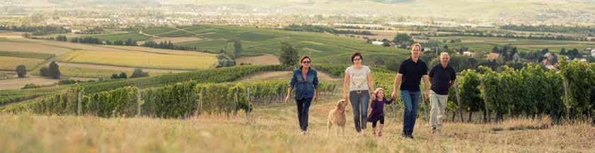 Unser Weingut liegt im schönen rheinhessischen Hügelland zwischen Bingen und Bad Kreuznach. Taunus, Hunsrück und Pfälzer Wald schützen die Weinberge vor kalten Winden.