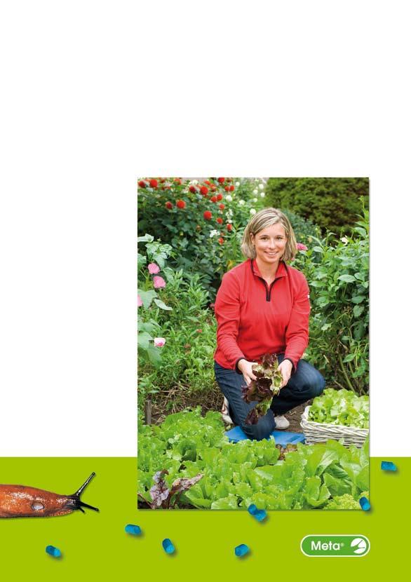 Gartenfreude ohne Schnecken Praktische Tipps zur wirksamen und sicheren