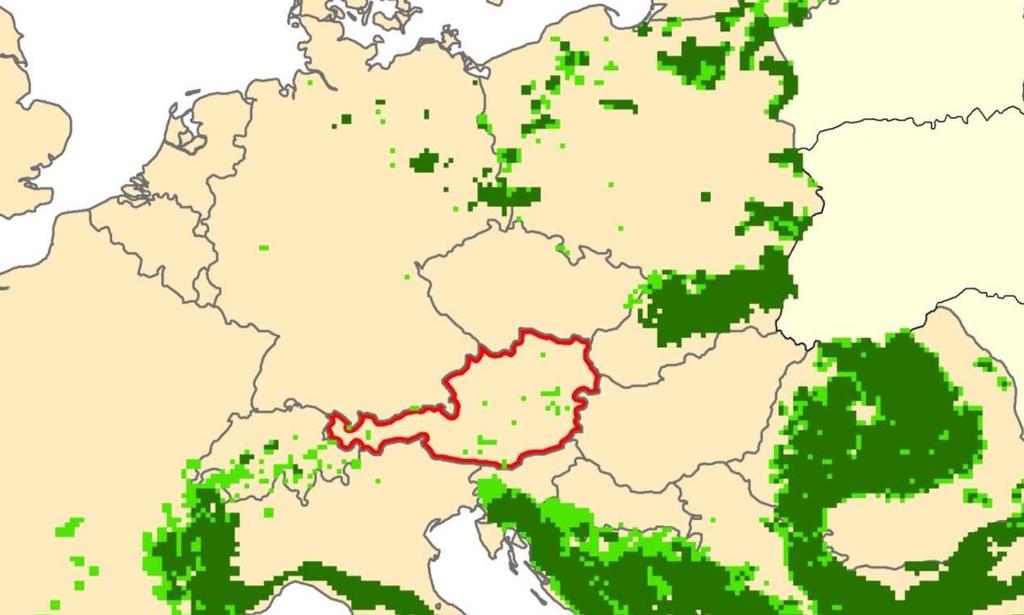Rudelgründungen zwischen Populationen in Mitteleuropa Rudel Paar Dovsky Calanda Grafenwöhr