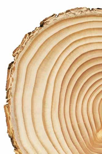 seite 4 Inhaltsübersicht 2/3 4/5 6/7 8/9 12/13 Vertrauen Sie dem Urteil Ihrer Kollegen Das Beste, was Holz passieren kann Qualität, die überzeugt Schutz mit System Express-Lasur-System