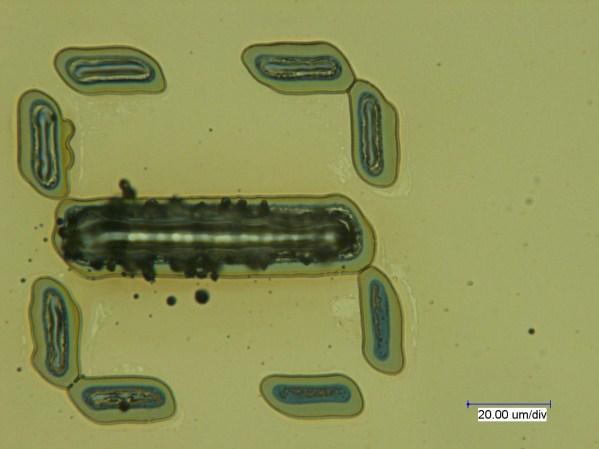 Um Spurbreiten unterhalb von 1 µm realisieren zu können, mussten bei einem vorhandenen Abbildungsverhältnis von 1:12,5 Masken mit Strukturen in der Größenordnung von 10 µm realisiert werden.