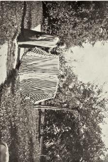 Gustav klimt im malerkittel und Emilie flöge im fledermauskleid im Garten der Villa oleander in kammer am Attersee, 1908 groß in Mode und war technisch ohne großen Aufwand umzusetzen.