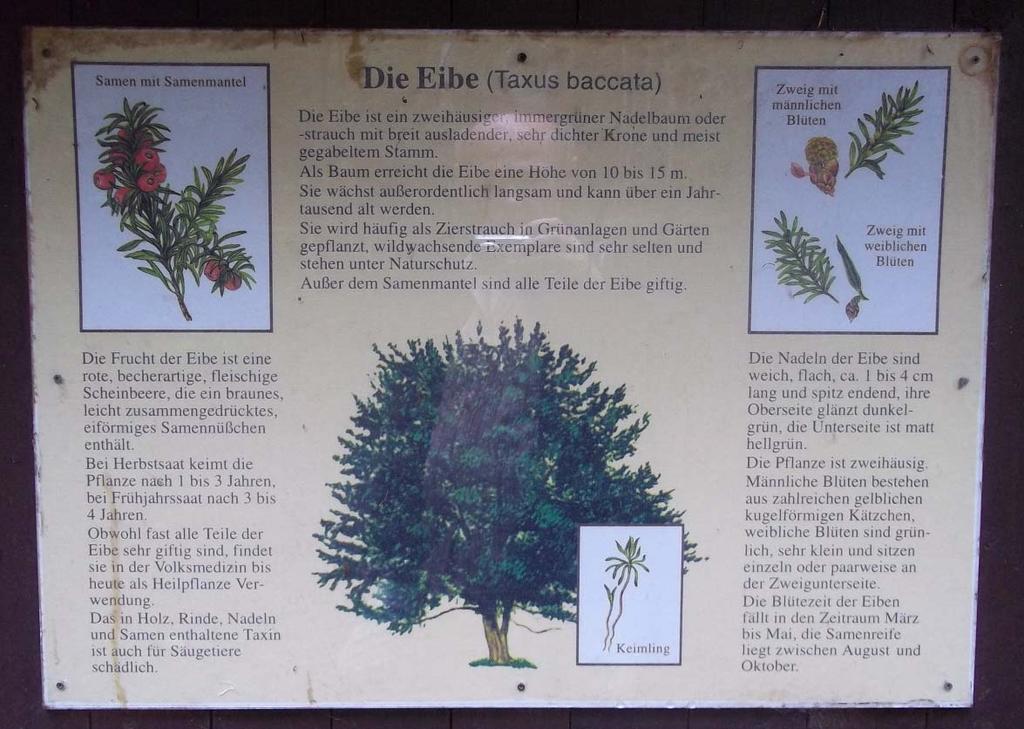In der Abbildung 73 (S. 73) Detail eines Schildes, das auf verschiedene Baumarten verweist dargestellt.