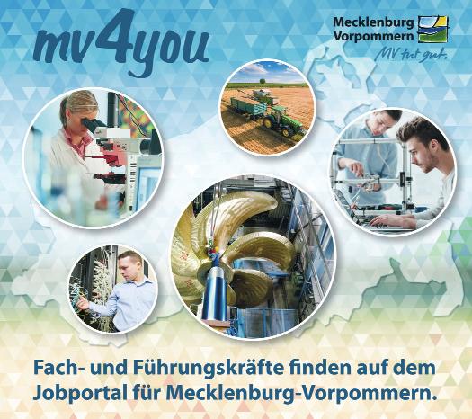 In unserer Datenbank befinden sich Jobwechsler, Jobsuchende, Rückkehrer, aber auch immer mehr Fachkräfte aus anderen Bundesländern, die an einer Tätigkeit in Mecklenburg interessiert sind, erklärt