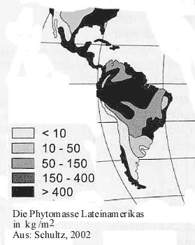 Verfügbarkeit Biomassenutzung in Lateinamerika: Biomasse satt Fläche satt Bedarf hoch Die Phytomasse bezeichnet die Gesamtmasse aller lebenden Pflanzen.