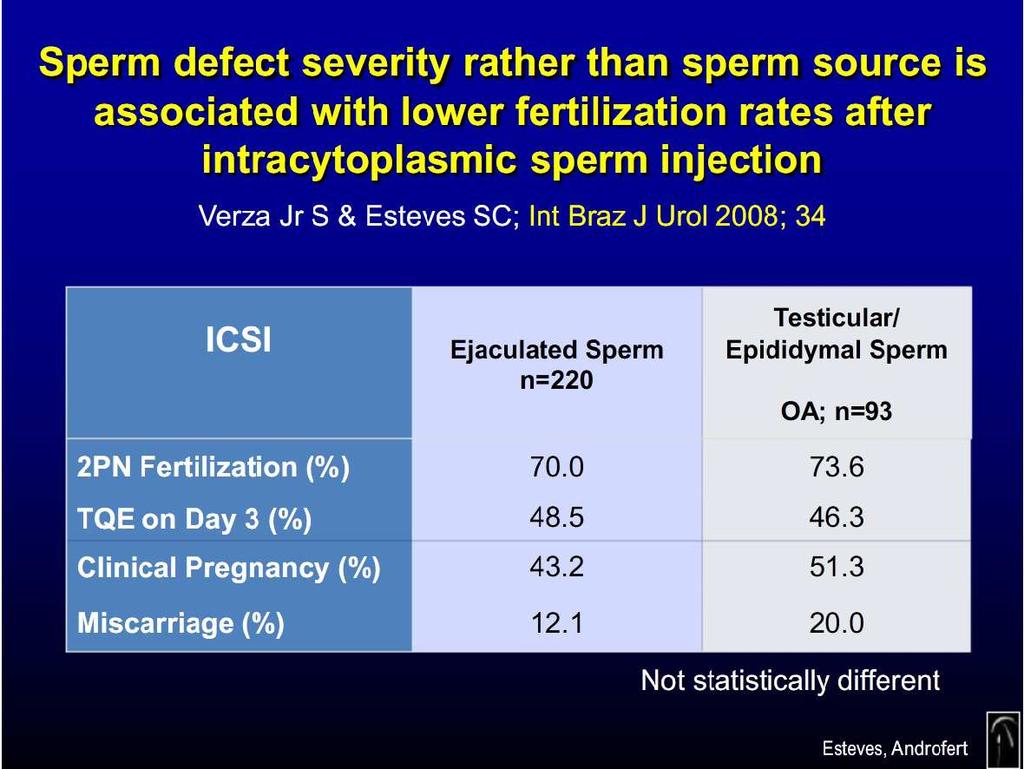 Abbildung 19 zeigt Fertilisations-, Implantations-, Schwangerschafts- und Abortraten der Untersuchung von [Verza Jr S, Esteves SC et al., 2008]. Abb.