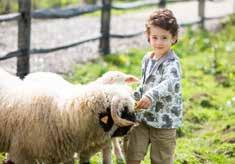 Ovi OVI-Futter sorgt dafür, dass Ihre Schafe in jeder Lebensphase stets in Bestform sind! Wochen Herbi Lac 0-6 Ovi 1 Pellet 2-52 Ovi 4 Pellet 40 -... Ovi 4 Flakes 40 -.