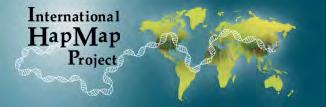 Das HapMap Projekt http://hapmap.ncbi.nlm.nih.gov/ Man rechnet heute mit 15.000.000 Positionen über alle humanen Genome, wo SNPs lokalisiert sind.