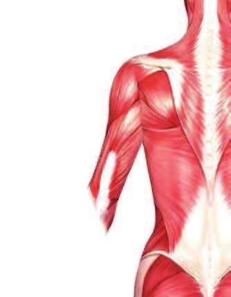 b ZIELBEREICH Rücken NIVEAU Anfänger NUTZEN hilft, die Rückenmuskulatur flexibel zu halten NICHT AUSÜBEN BEI.