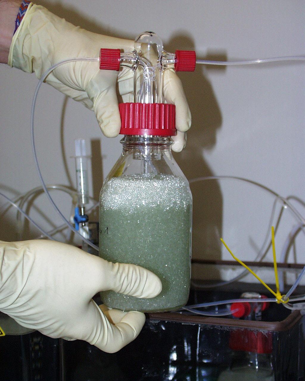 Abb. 3: Waschflasche mit HCB-beschichteten Glasperlen zur Dotierung des Wasserkörpers.