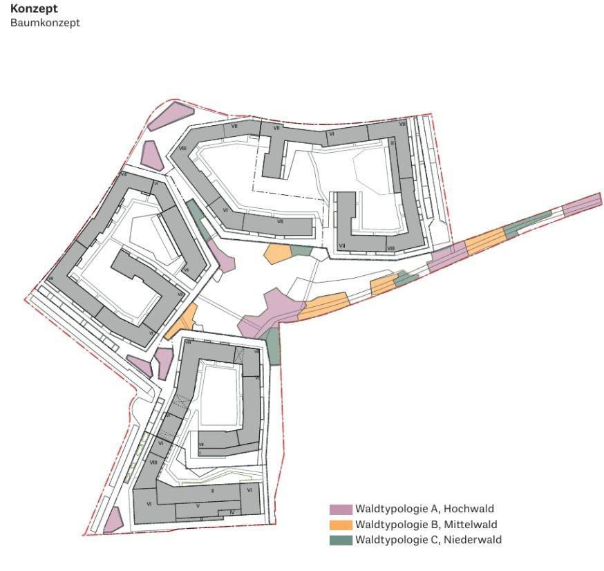 Freiflächenrahmenplan - Detailaspekte Baumkonzept Gemeinschaftlich nutzbare Dachgärten Verfasser: Studio Vulkan Landschaftsarchitekten Auftraggeber: BO 143 Projekt GmbH