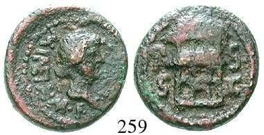 PAESTUM 259 AE-Quadrans 90-50 v.chr. 3,35 g. Büste